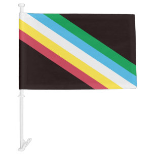 Disability Pride Car Flag