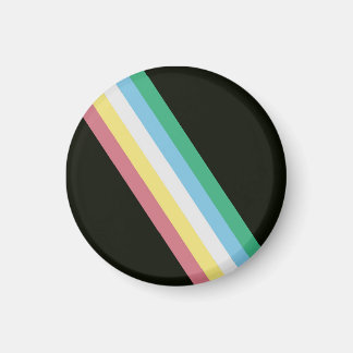 Disability Pride Flag Magnet
