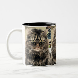 Disappointed Cat Two-Tone Coffee Mug