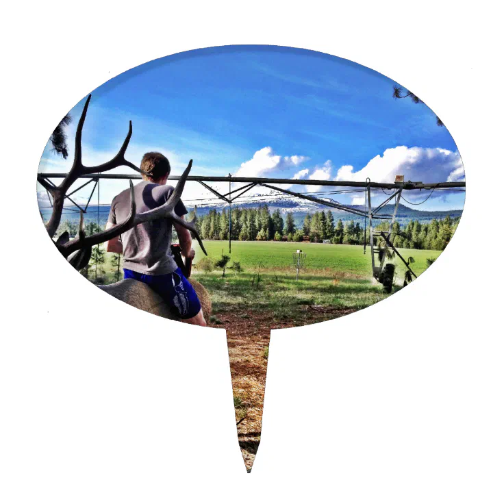 disc golf cake topper Zazzle