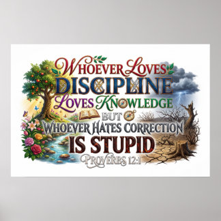 Discipline Gain Knowledge Reject Correction Stupid Poster