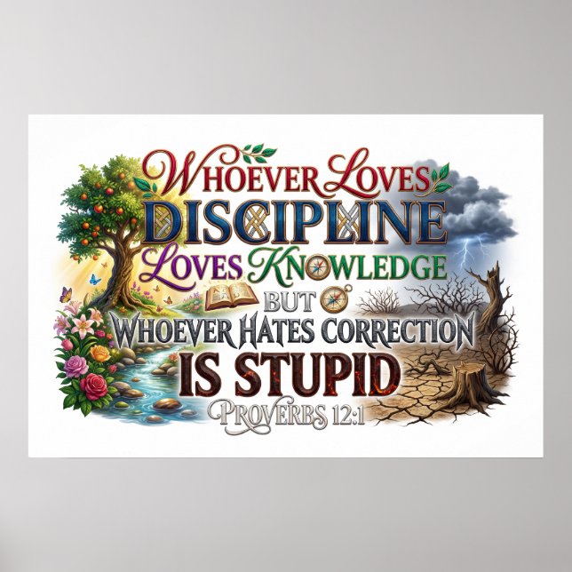 Discipline Gain Knowledge Reject Correction Stupid Poster (Front)