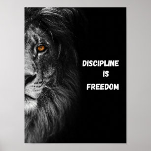 Discipline Is Freedom Ultra Close Up Lion Head Poster