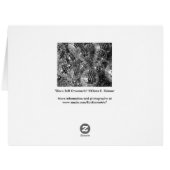 Disco Ball Ornaments Black and White Photo Holiday (Back Horizontal)