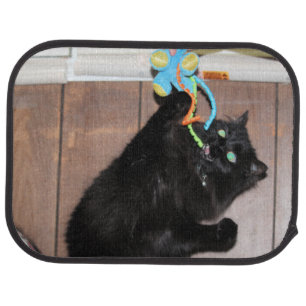 Disco     car floor mat