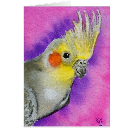 Disco Cockatiel Cards (Front)