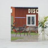 DISCO DEER (Standing Front)