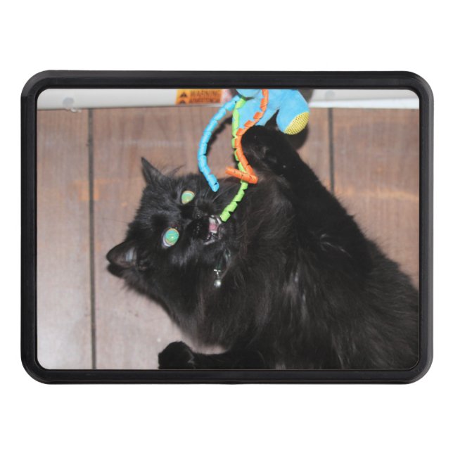 Disco    hitch cover (Front)