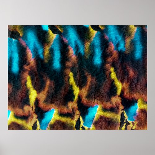 Disco Ikat Pattern Colored Dirty Art Background  Poster