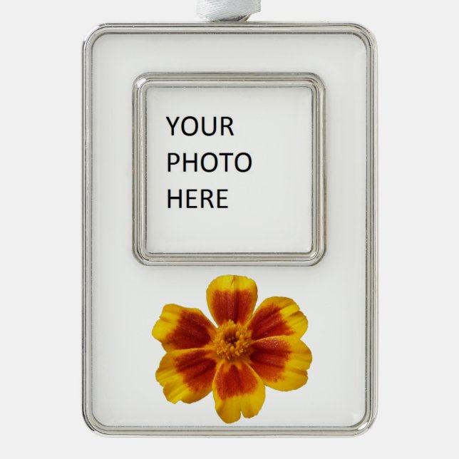 Disco Marigold Orange and Red Summer Flower Christmas Ornament (Front)