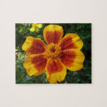 Disco Marigold Orange and Red Summer Flower Jigsaw Puzzle