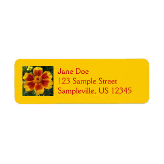 Disco Marigold Orange and Red Summer Flower Label