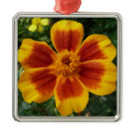 Disco Marigold Orange and Red Summer Flower Metal Ornament