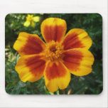 Disco Marigold Orange and Red Summer Flower Mouse Pad