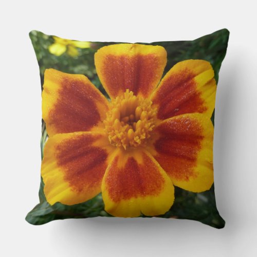 Disco Marigold Orange and Red Summer Flower Throw Pillow