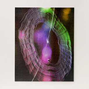 Disco Spider Web Colorful Fun Puzzle