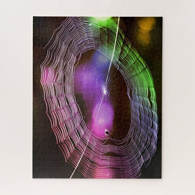 Disco Spider Web Colorful Fun Puzzle (Vertical)