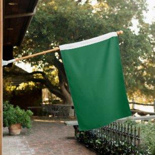 Discover the Perfect Blend of Green, Azure, Aqua, House Flag