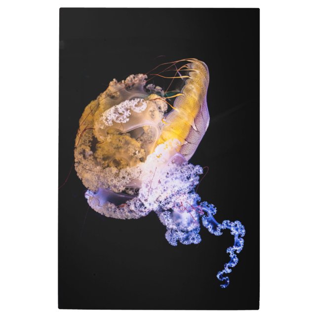 Discover Unique Designs in Metal Wall Art (Front)