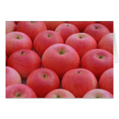 Discovery Apples (Front Horizontal)