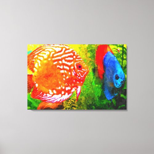 Discus aquarium fish canvas print