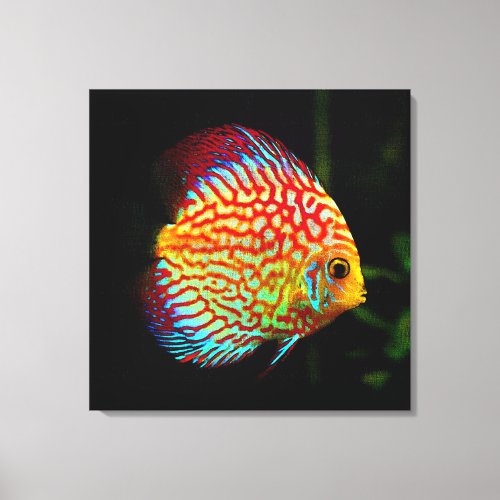 Discus aquarium fish canvas print