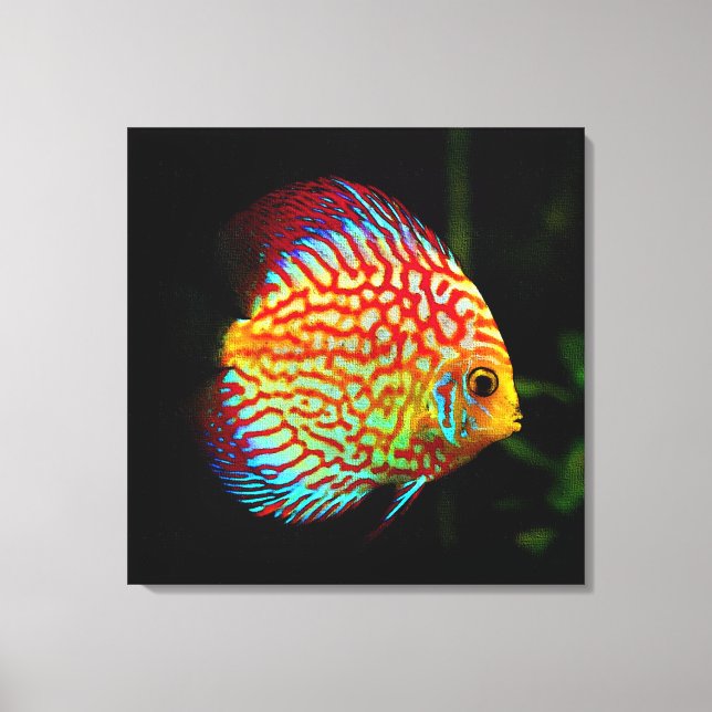 Discus aquarium fish canvas print (Front)