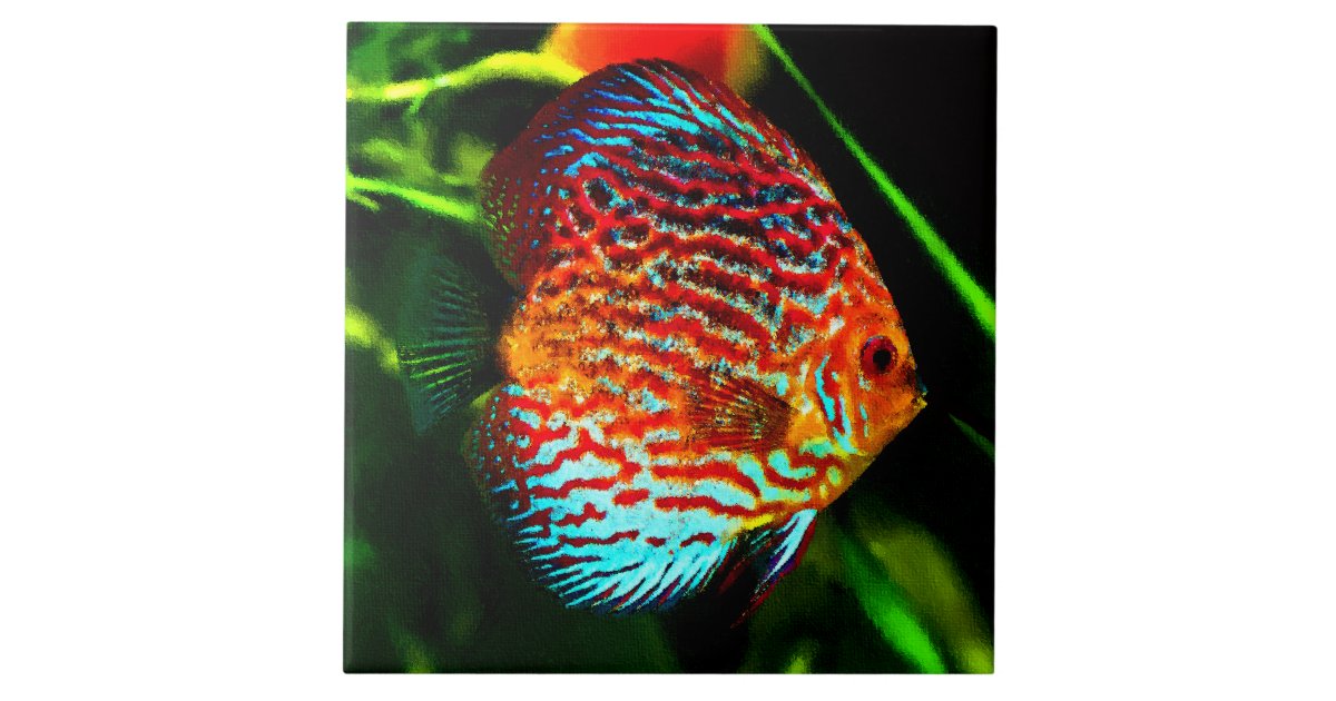 Discus aquarium fish decorative tile | Zazzle