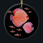 Discus Cardinal Tetras Aquarium Fish Tank Lovers Ceramic Ornament<br><div class="desc">Discus Cardinal Tetras Aquarium Fish Tank Lovers Keepers Gift. Perfect gift for your dad,  mom,  papa,  men,  women,  friend and family members on Thanksgiving Day,  Christmas Day,  Mothers Day,  Fathers Day,  4th of July,  1776 Independent day,  Veterans Day,  Halloween Day,  Patrick's Day</div>