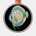 Discus Cichlid Aquarium Fish Ornament at Zazzle