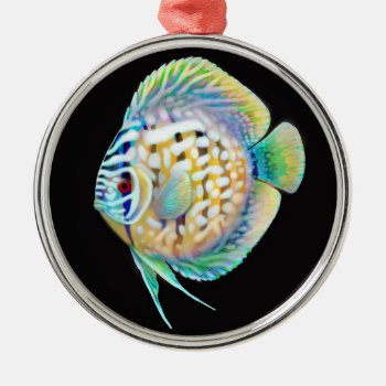 Discus Cichlid Aquarium Fish Ornament by ornamentation at Zazzle