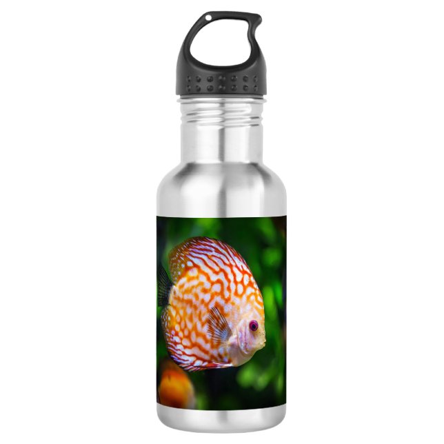 Discus fish stainless steel water bottle (Front)