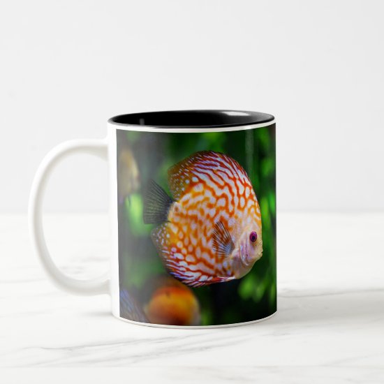 Discus fish Two-Tone coffee mug