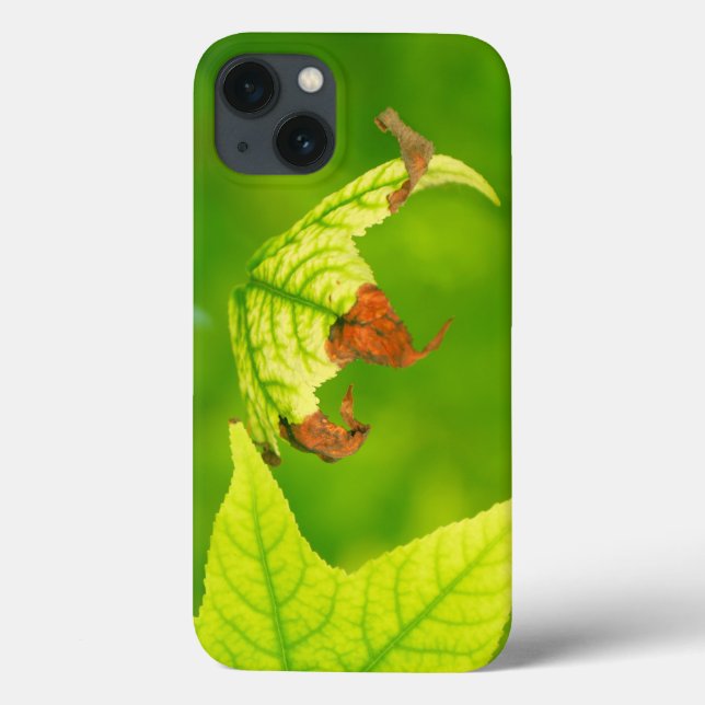 Diseased Maple Leaf Case-Mate iPhone Case (Back)