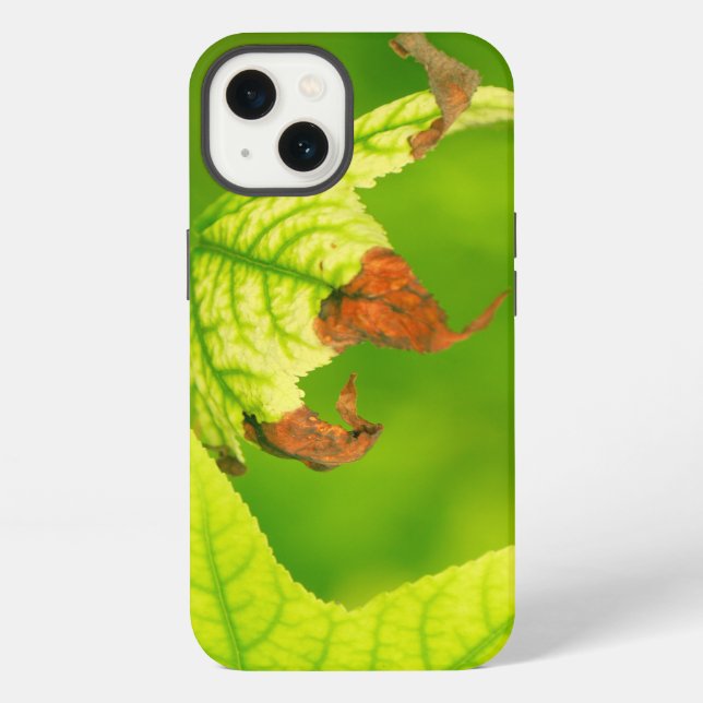 Diseased Maple Leaf Iphone Case (Back)
