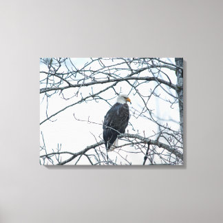 Disgruntled Canvas Print