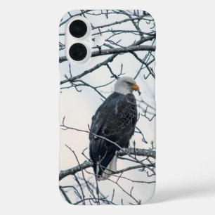 Disgruntled iPhone 16 Case