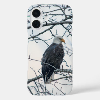 Disgruntled iPhone 16 Case