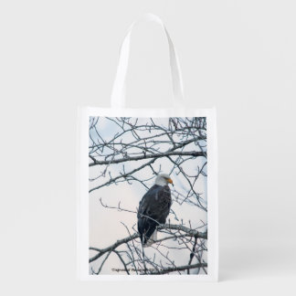 Disgruntled Grocery Bag