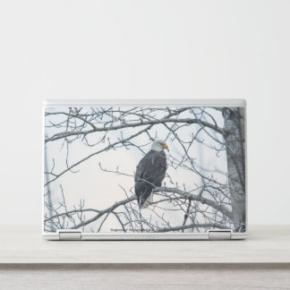 Disgruntled HP Laptop Skin
