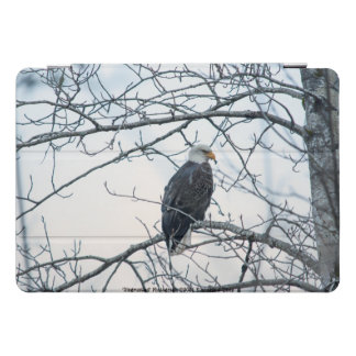 Disgruntled iPad Pro Cover