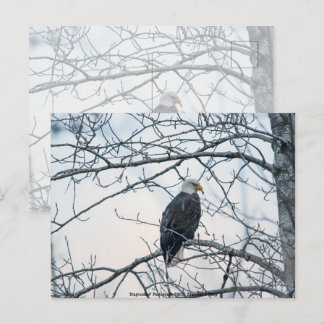 Disgruntled Postcard