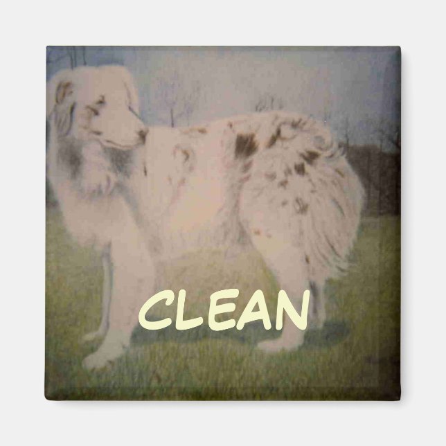 Dish Washer Status Magnet (Front)