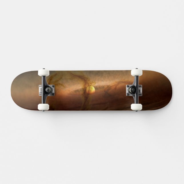 Disks Of Planet-Forming Material Circling Stars. Skateboard (Horz)