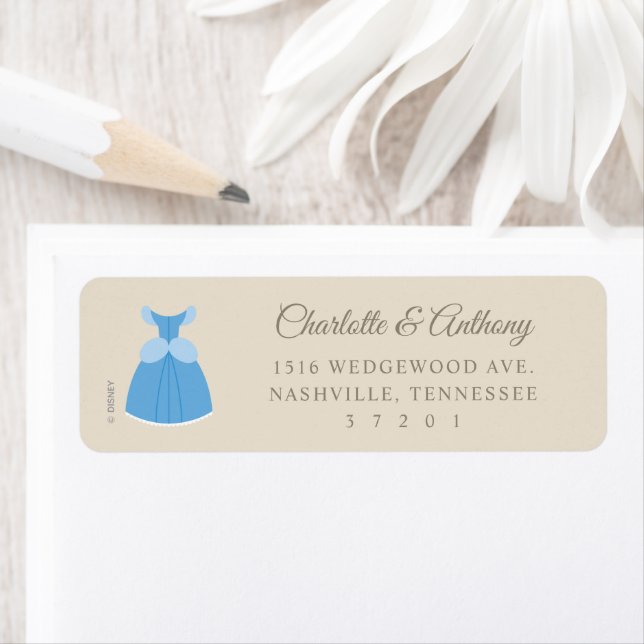 Disney Cinderella Dress | Girl Baby Shower  Label (Insitu)