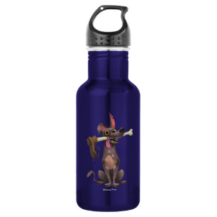Disney Pixar Coco Dante Funny Bone with Shoe Stainless Steel Water Bottle