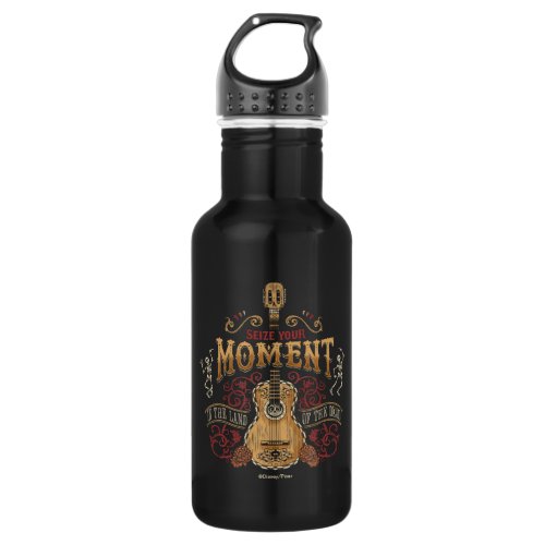 Disney Pixar Coco  Seize Your Moment Quote Stainless Steel Water Bottle