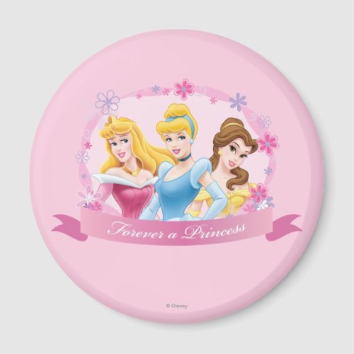 Disney Princess  Aurora Cinderella and Belle Magnet