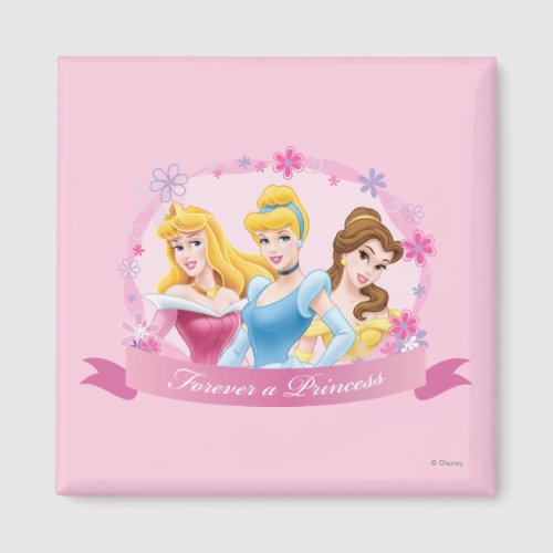 Disney Princess  Aurora Cinderella and Belle Magnet