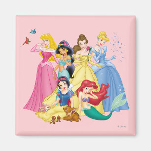 Disney Princess   Birds and Animals Magnet